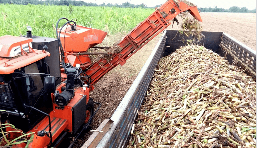 sugarcane harvester business plan